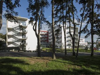 Rehaklinik Wien Baumgarten Blick vom Wald